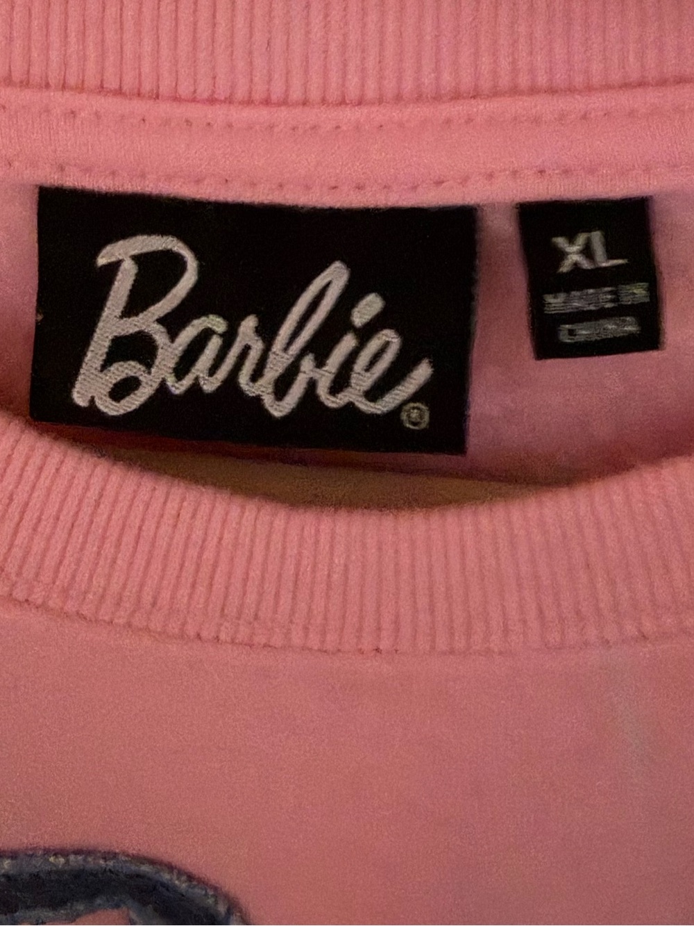 Barbie Pink Pullover Sweatshirt with Black Script Label